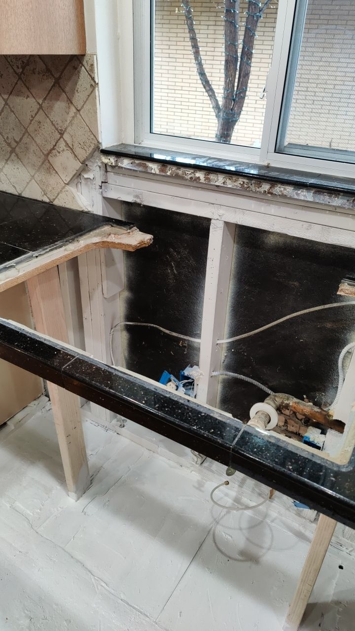 Mold Damage by Accountable Home Services