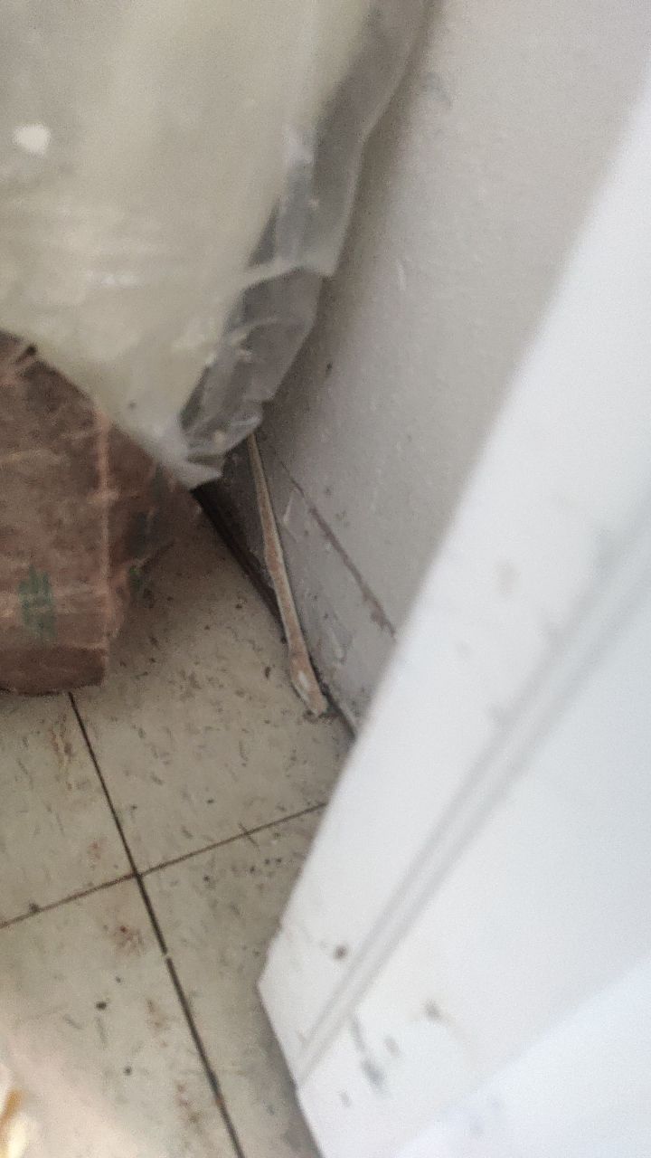 Mold Remediation by Accountable Home Services