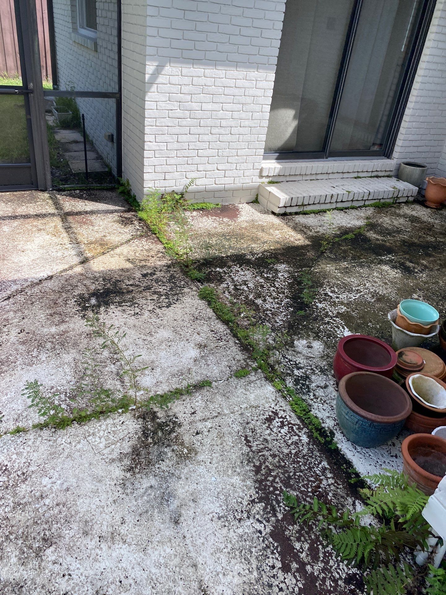 Deerwood Residence | Extreme Clean Up by ProGreen Services
