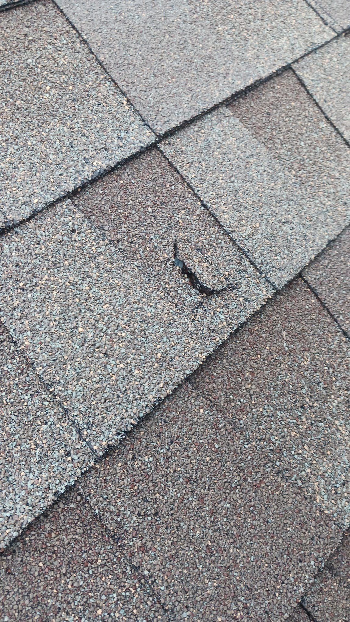 Hail Damage using Owen's Corning Duration (Lifetime) Shingles by Roof Repair Company