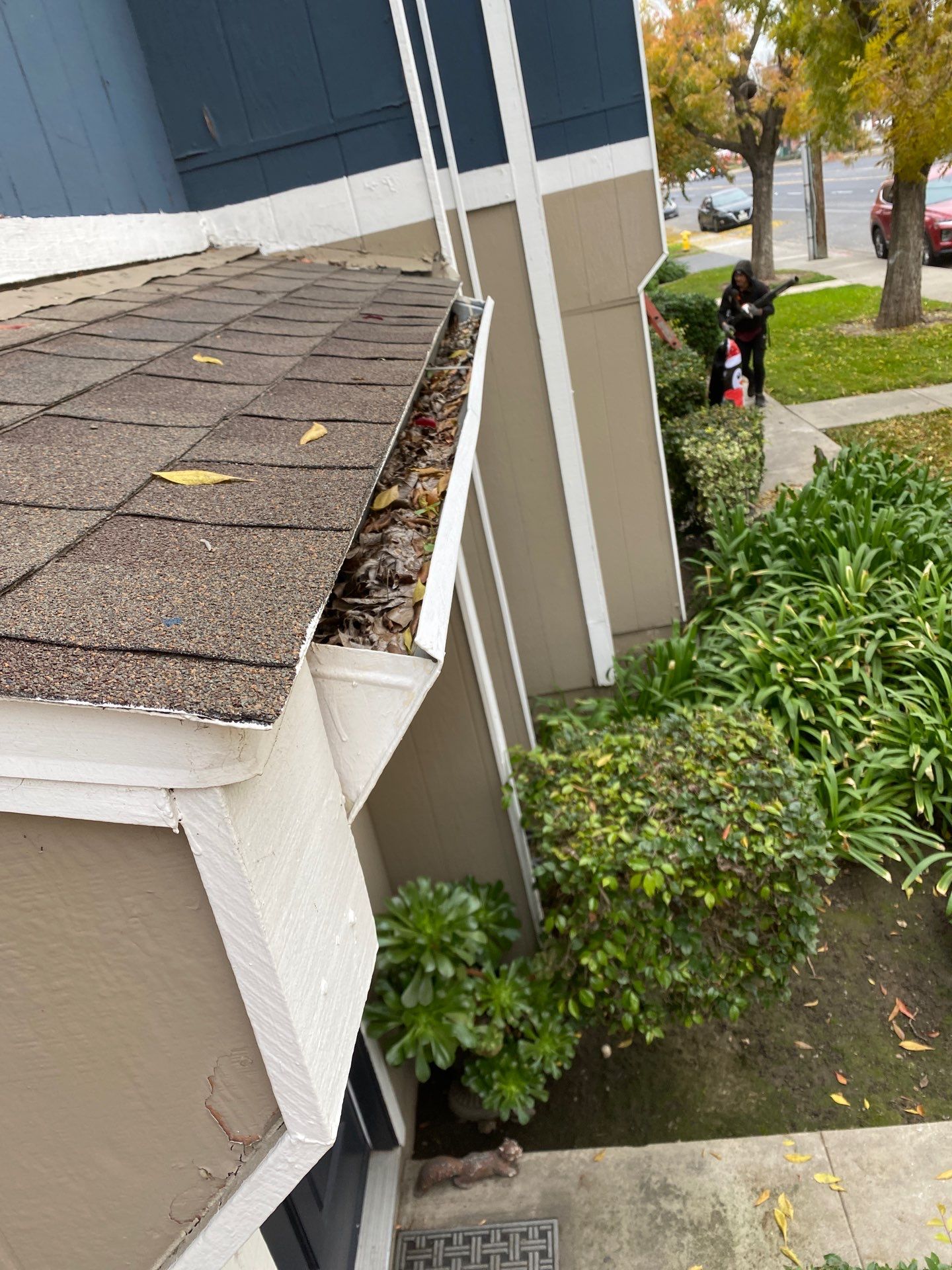 HOA gutter cleaning before photo.