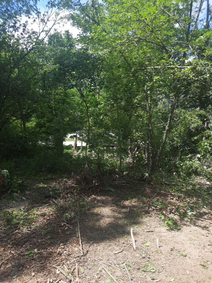 Tree Removal using Tree Removal by Mike Jones & Sons Tree Service LLC 