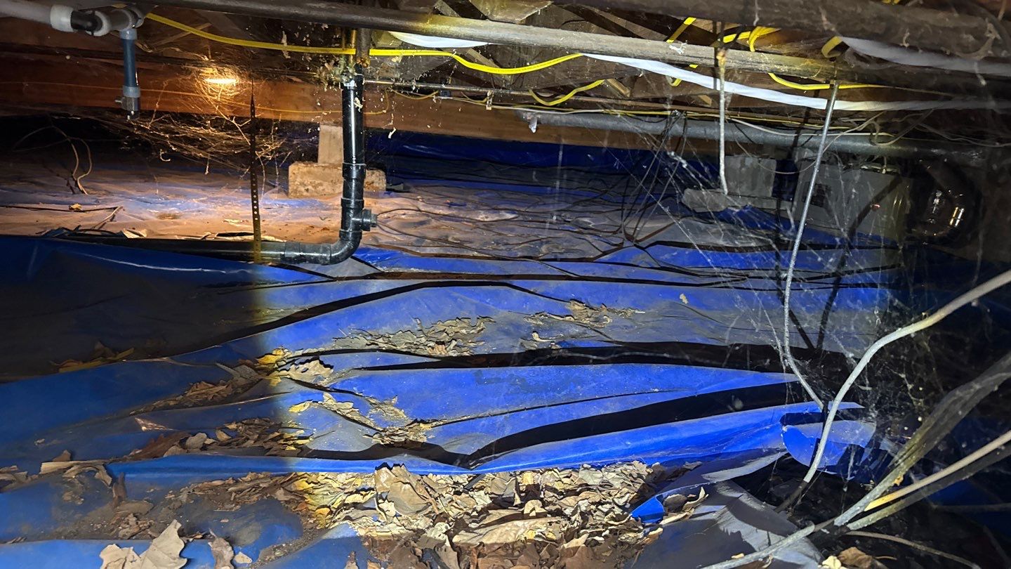 Project in Denver by Accountable Home Services