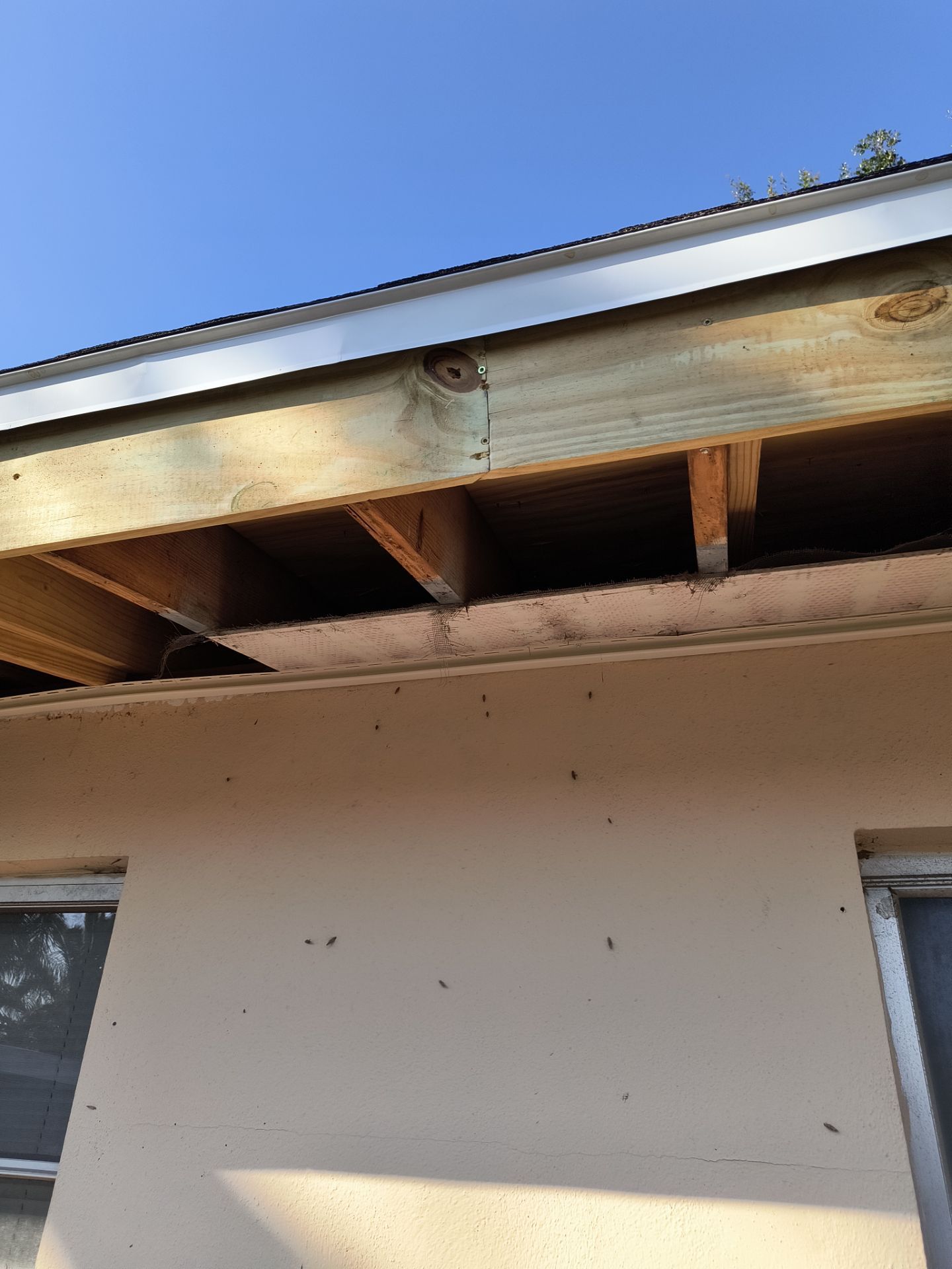 White Soffit and Fascia Upgrade in Sarasota FL by Gutter Professors