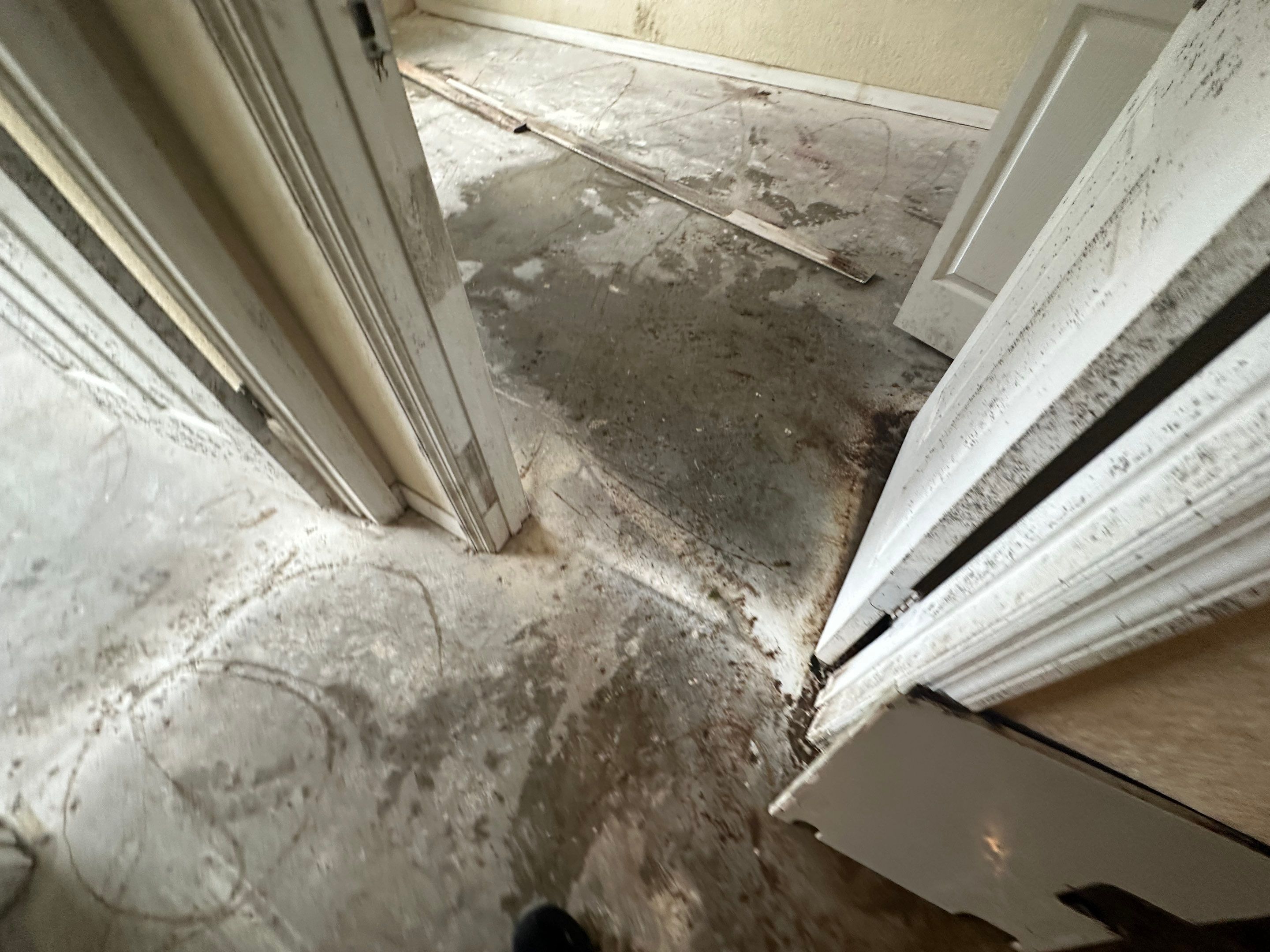 Water Damage Claim in Daytona Beach by FLAPA & KeyStone