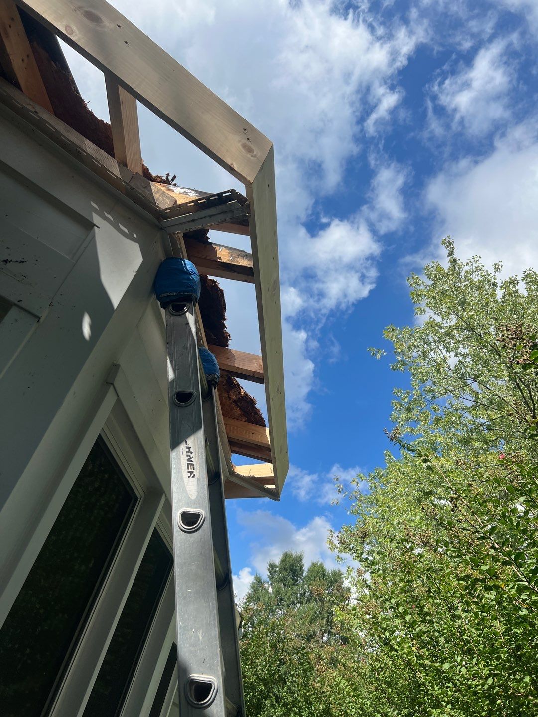 Alexandria: Residential Flat Roof Replacement with MuleHide TPO by RM Banning, Inc.