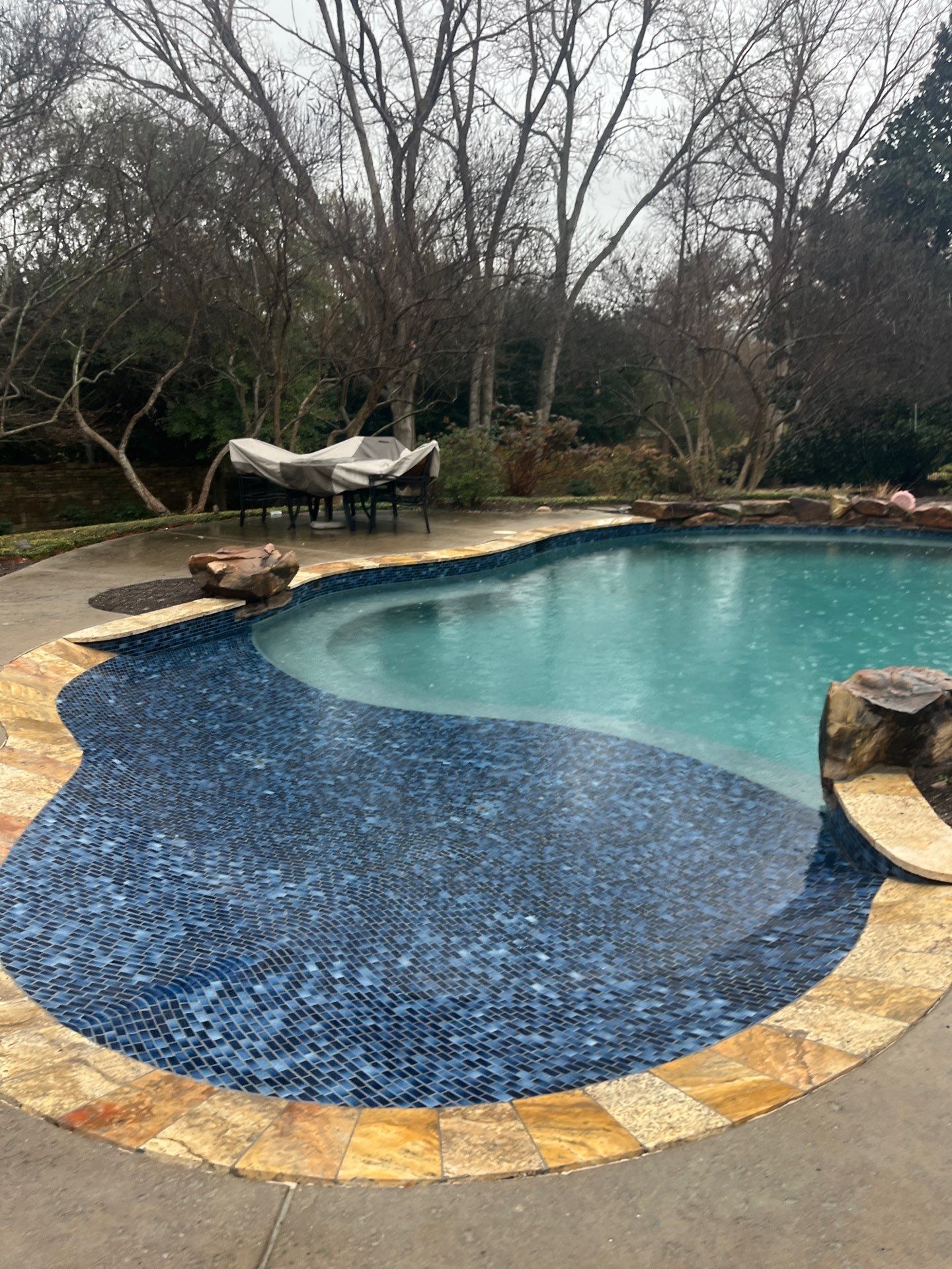 Large Freeform Remodel by Pinnacle Pools and Spas - DFW