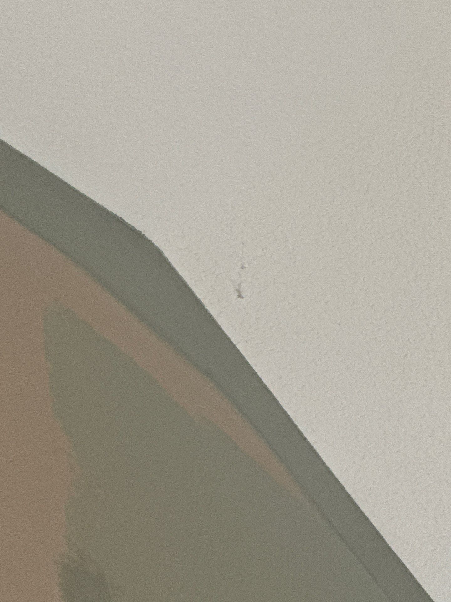 Res Int Repaint  by Midwest Paint LLC