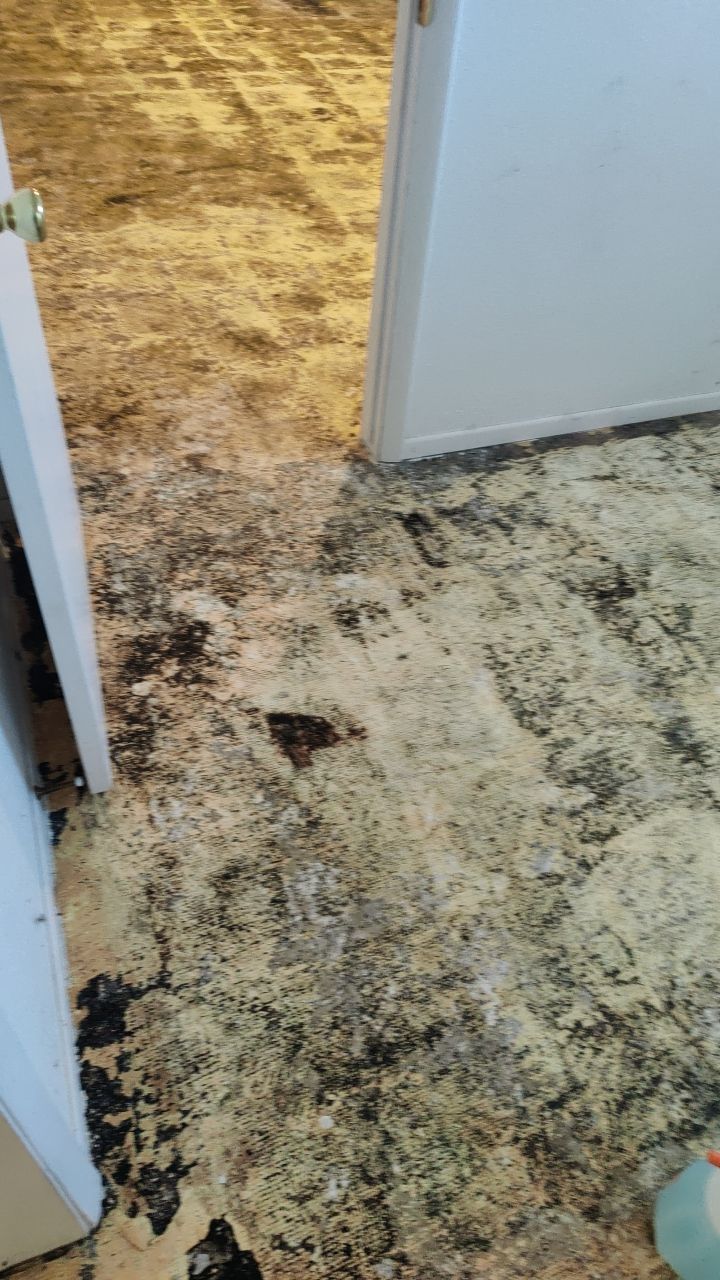 Water Damage by Accountable Home Services