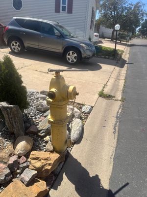 Project in Thornton