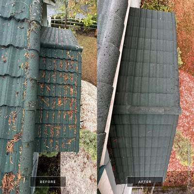 Residential Roof Cleaning in Port Orchard, WA