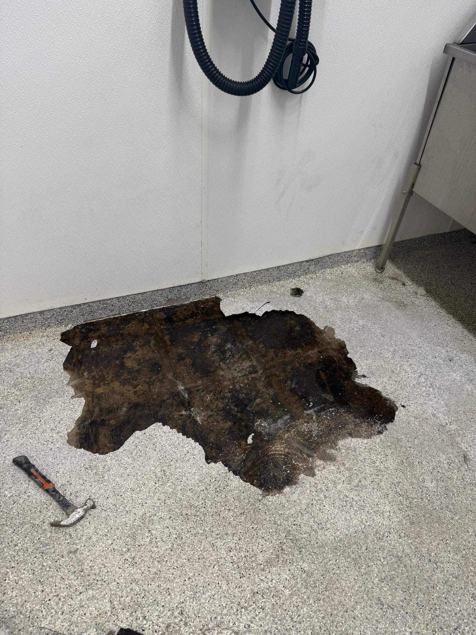 Project in Albion by Wise Coatings of Central Michigan