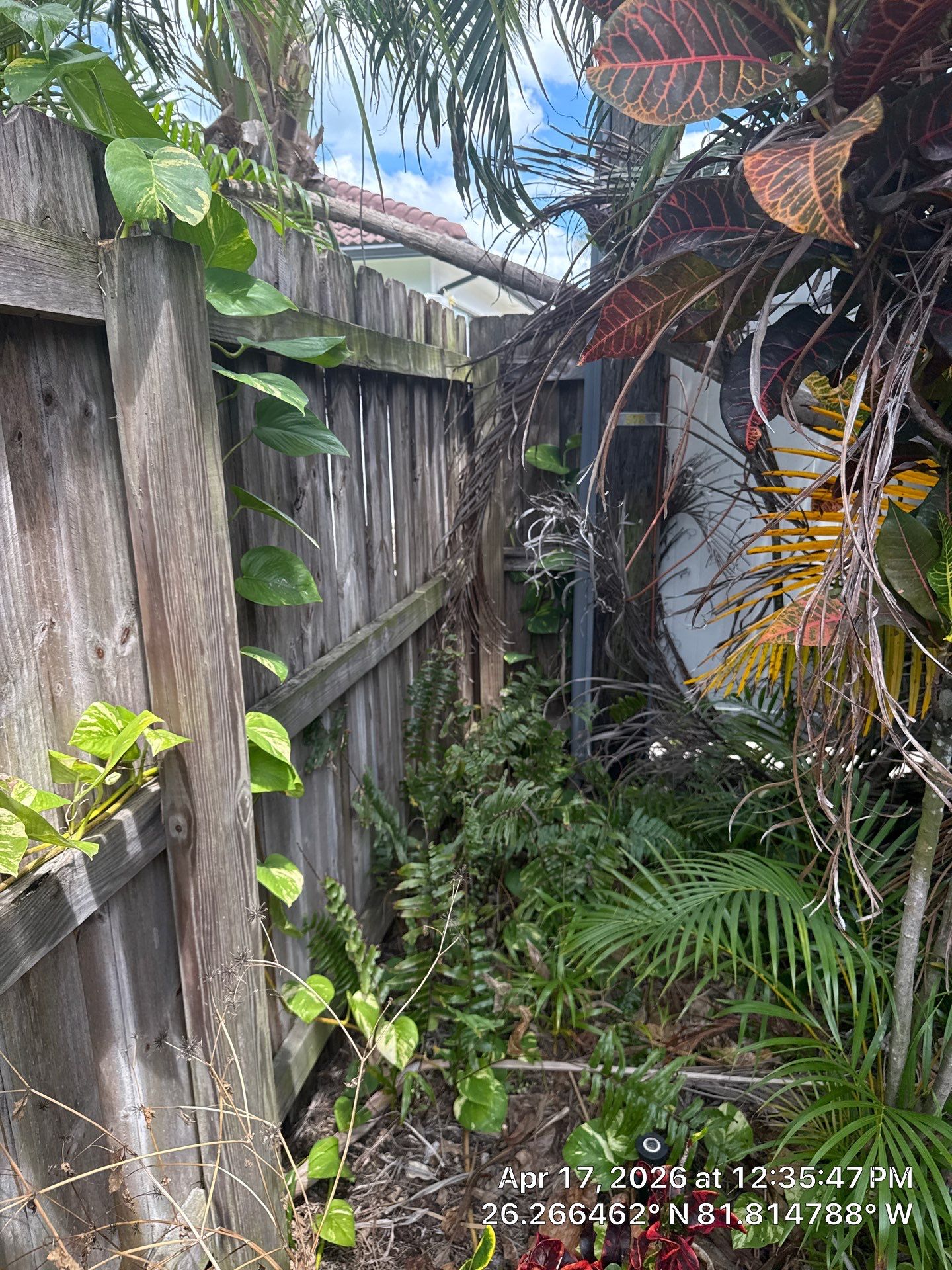 Vinyl Replacement in Naples by True Fence LLC