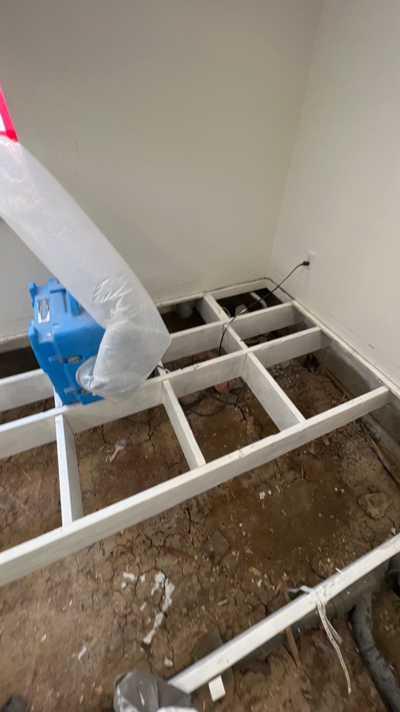 Mold Remediation by Accountable Home Services