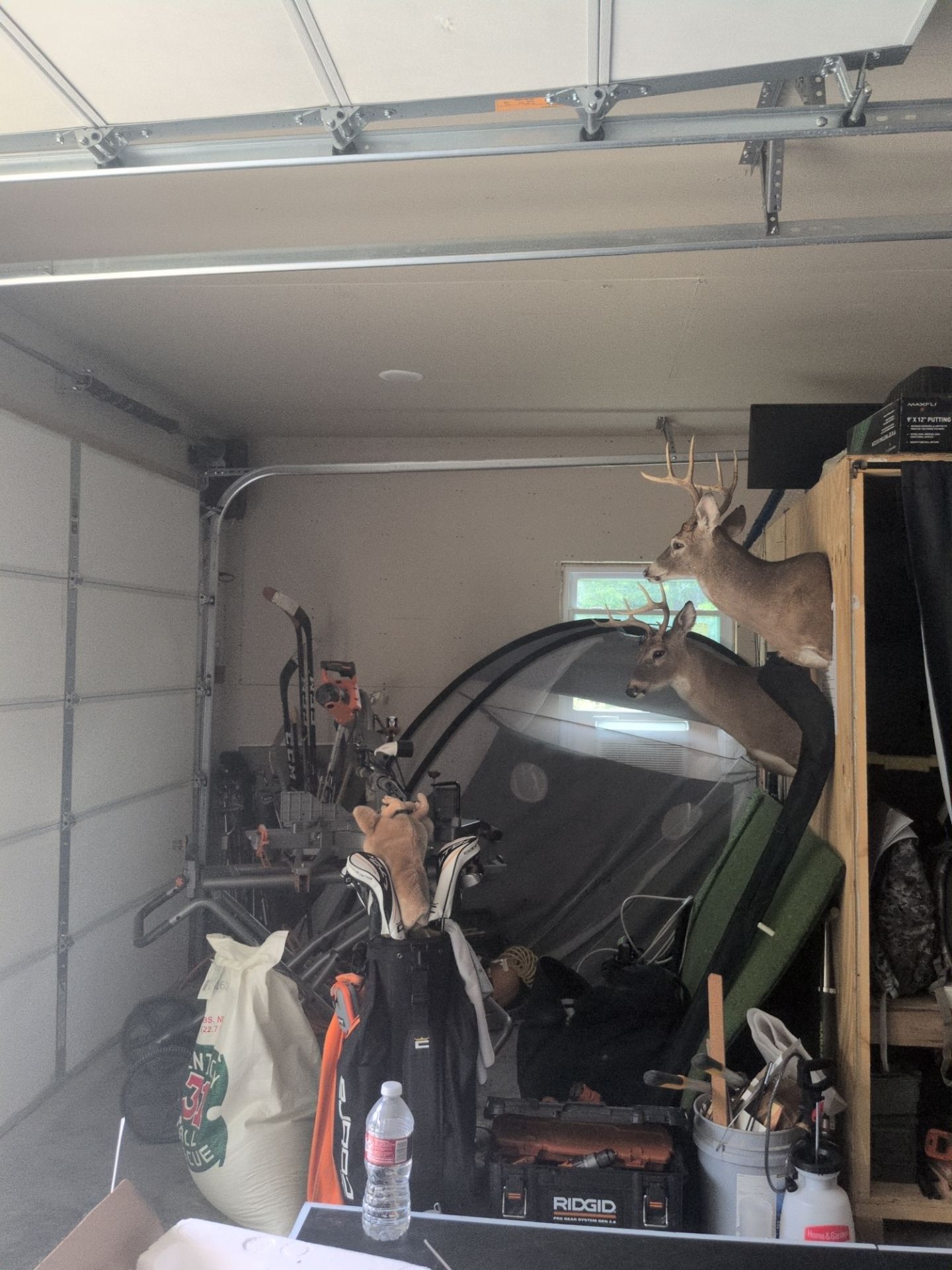 Project near Jackson MO by Duncan Painting And Wallcovering