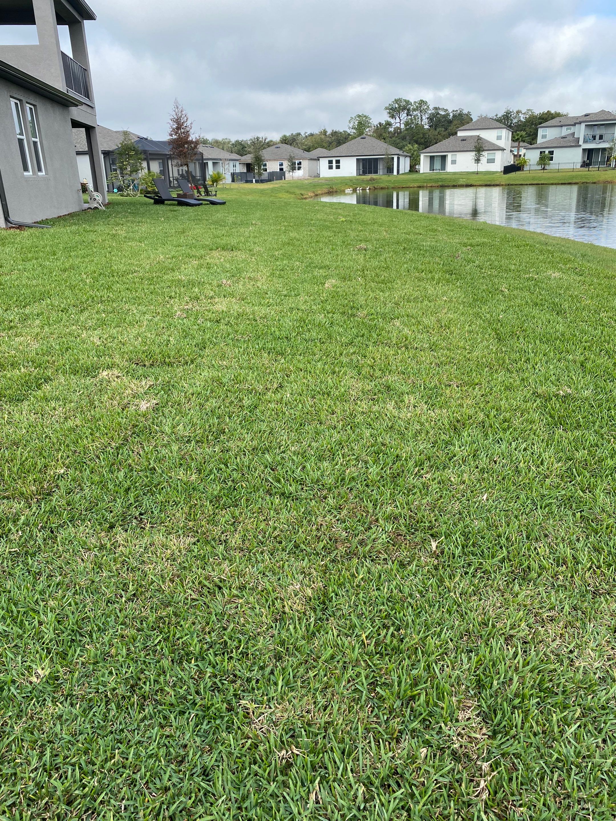 Parrish, FL 4 ft. Tall 3-Rail Black Aluminum  by Asap fence and gates, LLC