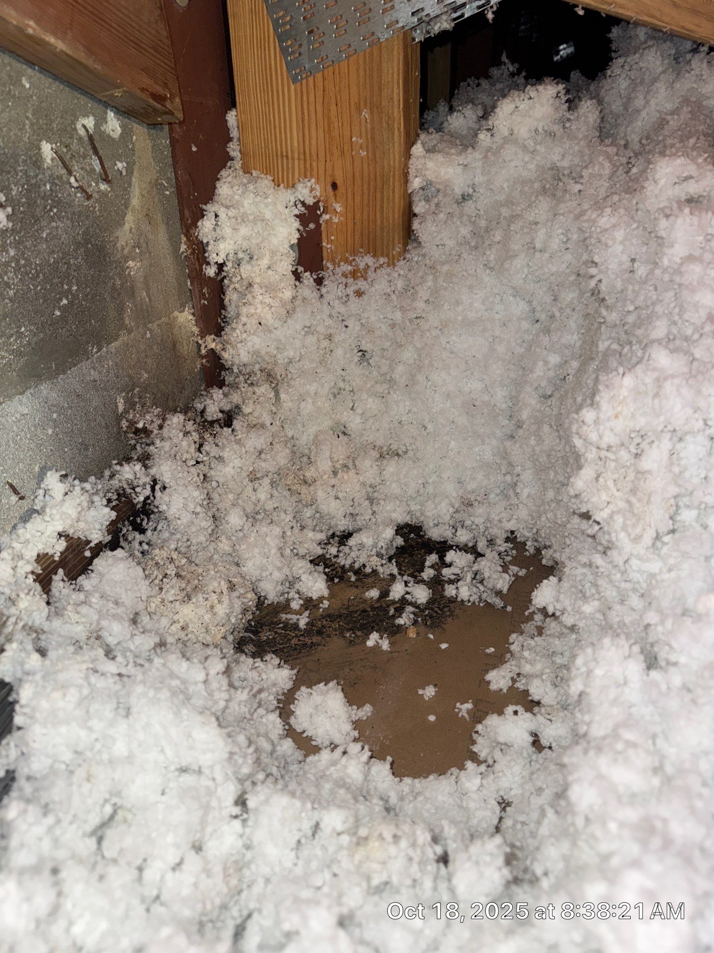 WATER DAMAGE WELLINGTON by SuperClean 