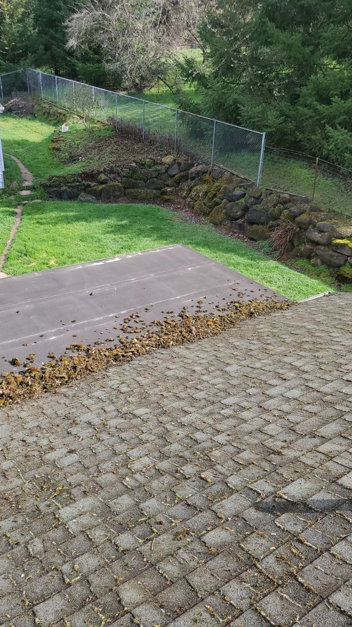Roof Cleaning Moss Treatment by Willamette Outdoor Wash LLC