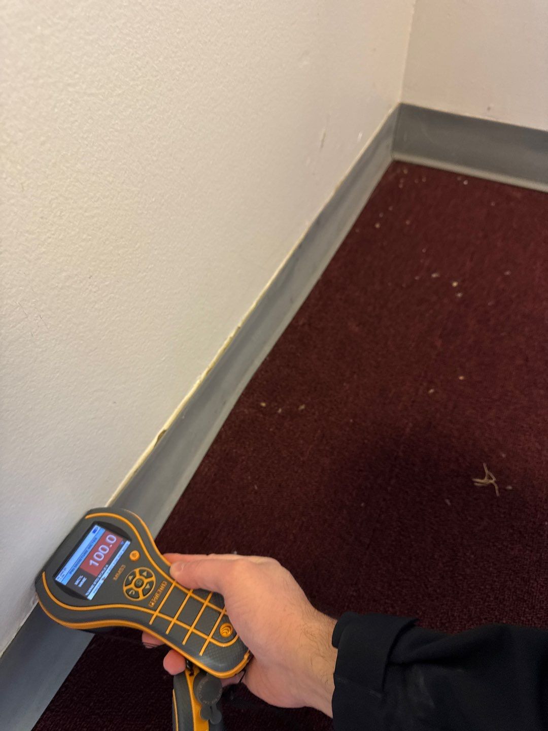 Project in Commerce Twp by EzDry Water Mitigation & Property Restoration