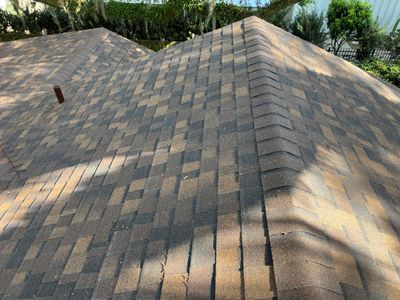 Shingle -> Shingle