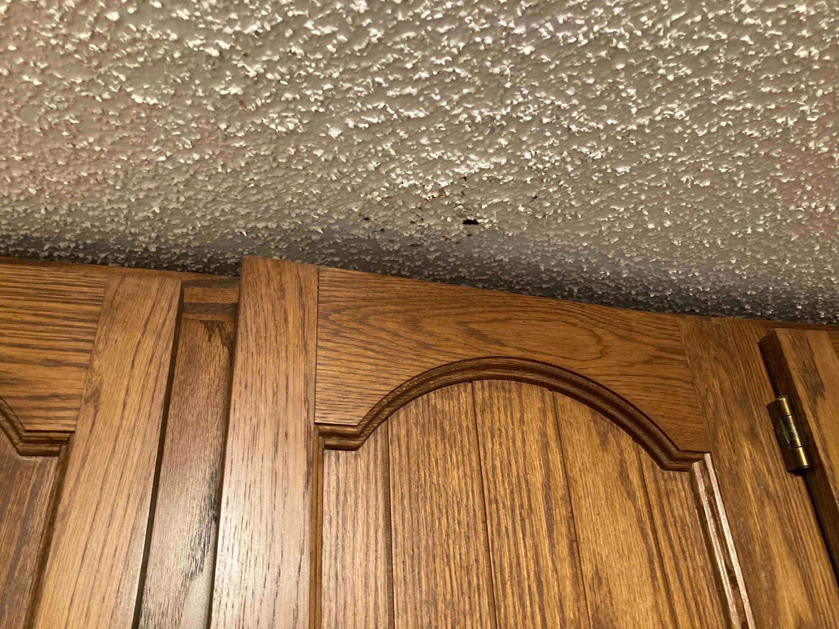 Mold Remediation using Containment by Accountable Home Services