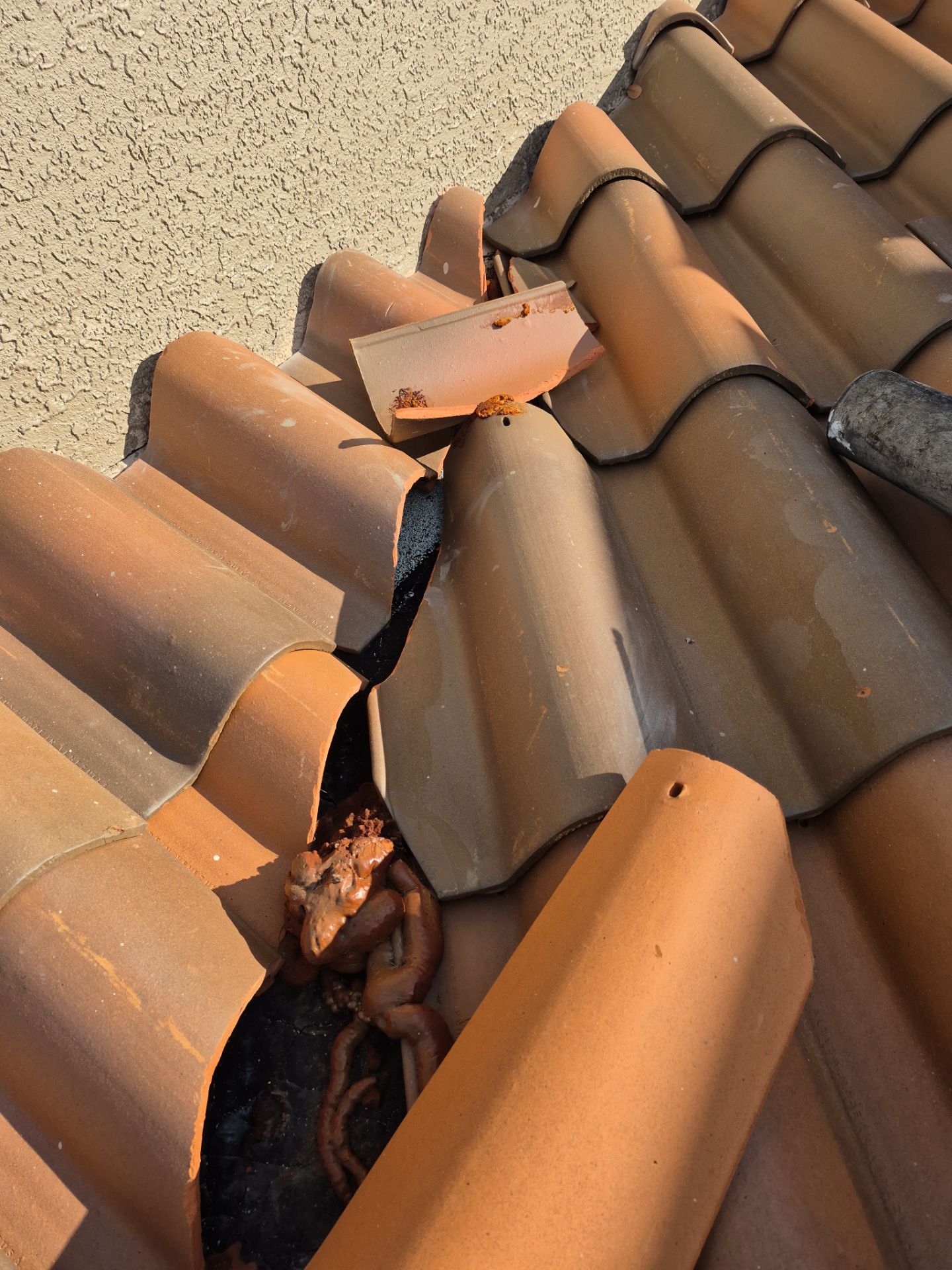 Project in Pinellas Park 33782 by Mitchell Roofing Company LLC