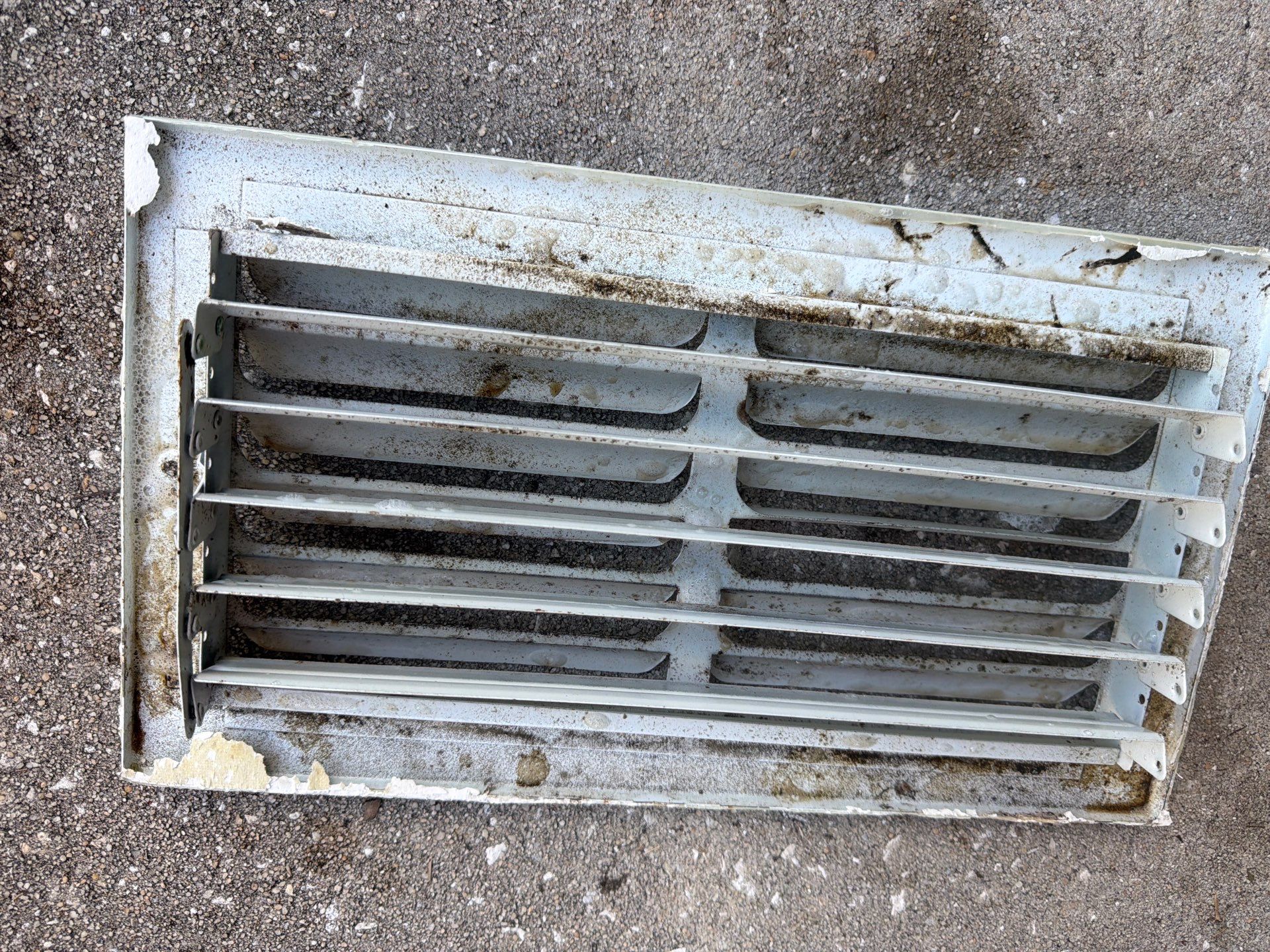 Air Duct Cleaning in Clermont by Hygienic Air, Inc