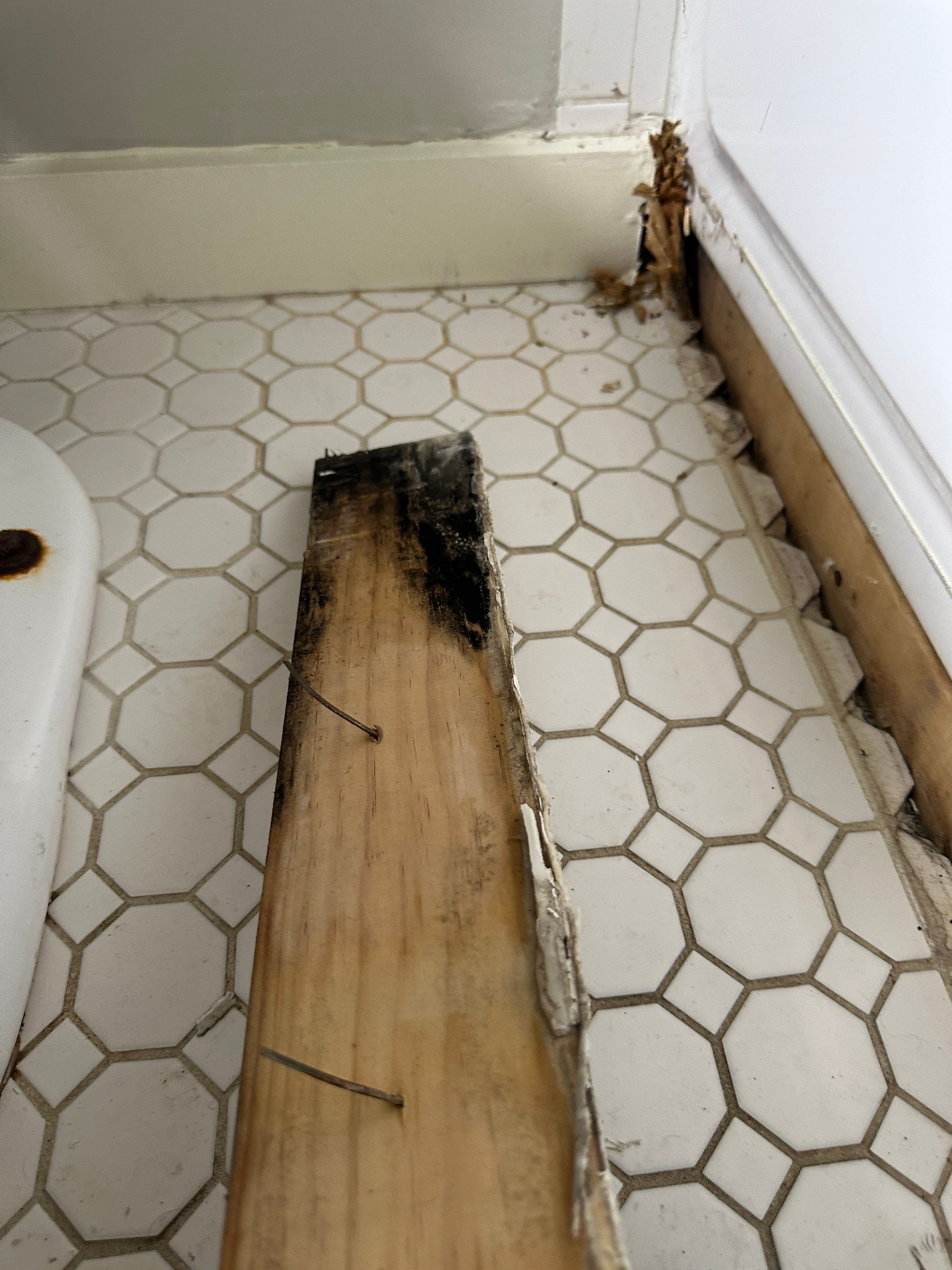 Full Home Remediation by Home Guarantee, LLC