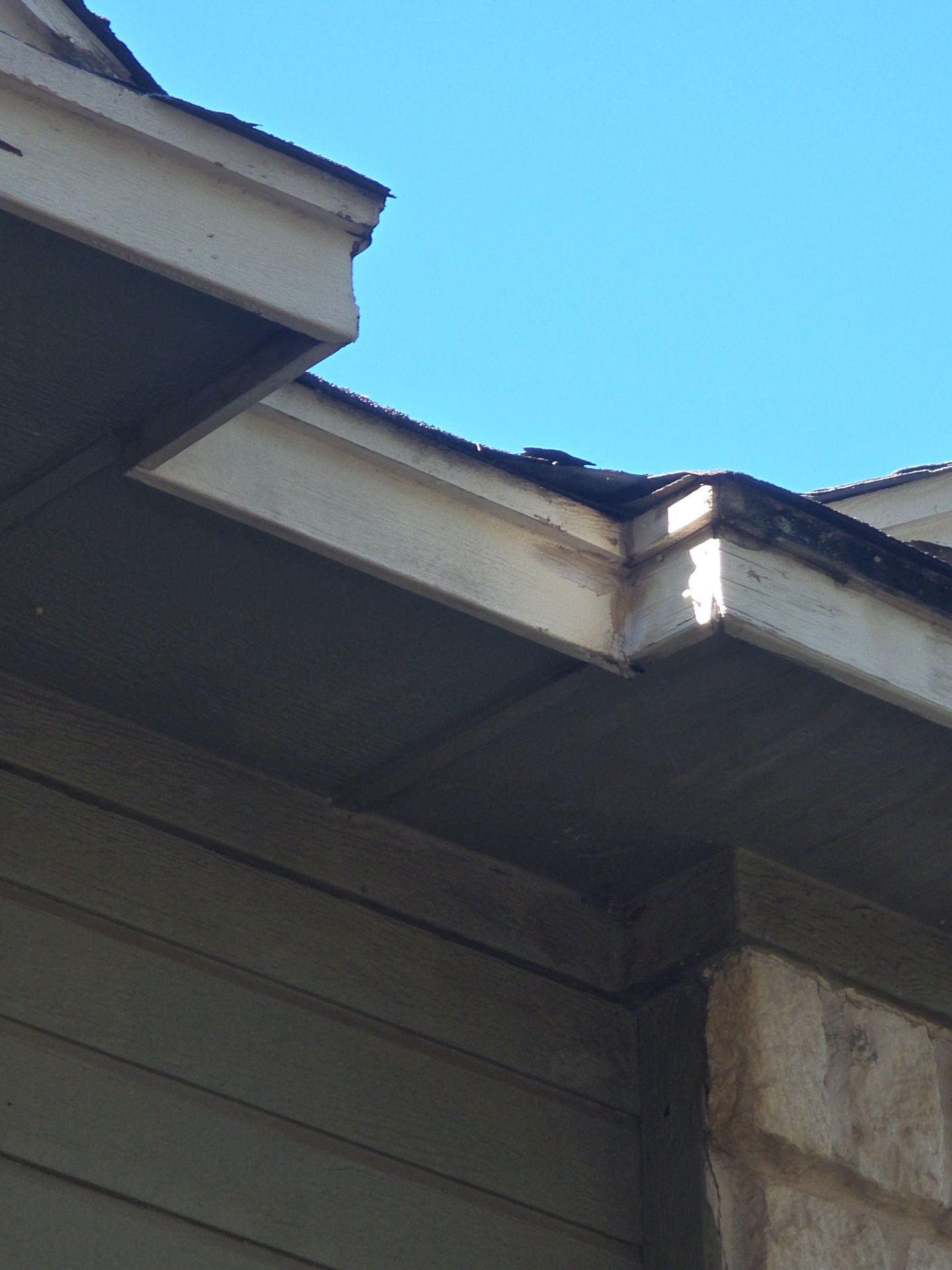 Just another roof ? by REPS OF TEXAS