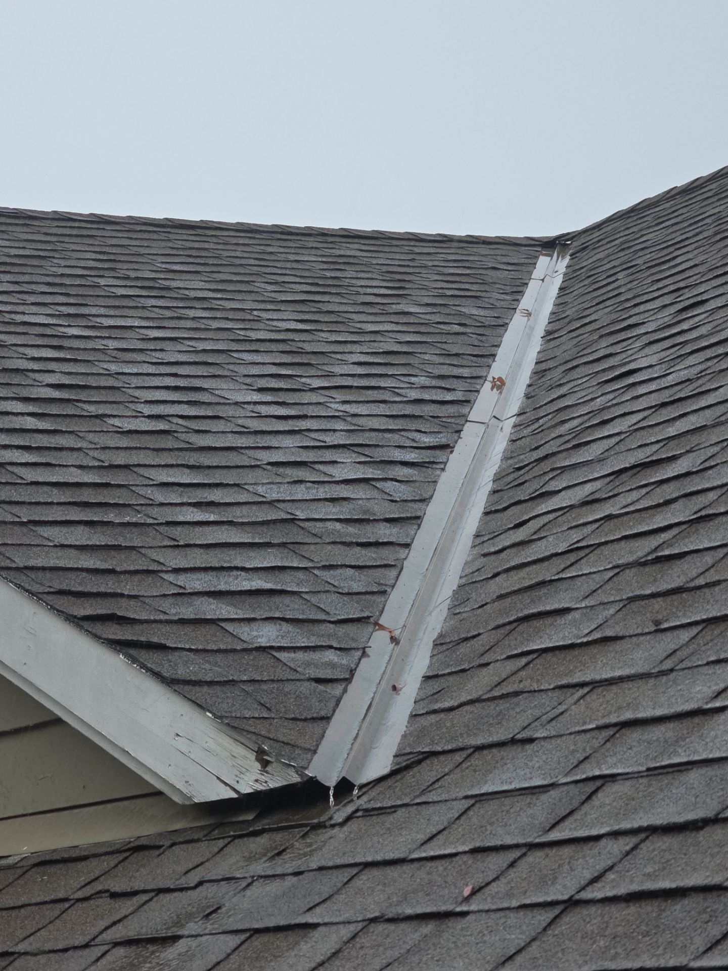 Roof Rejuvenation using Roof Maxx Treatment by Roof Maxx of Folsom
