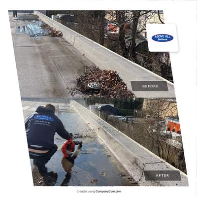 Bohemia Flat Roof Cleanup 