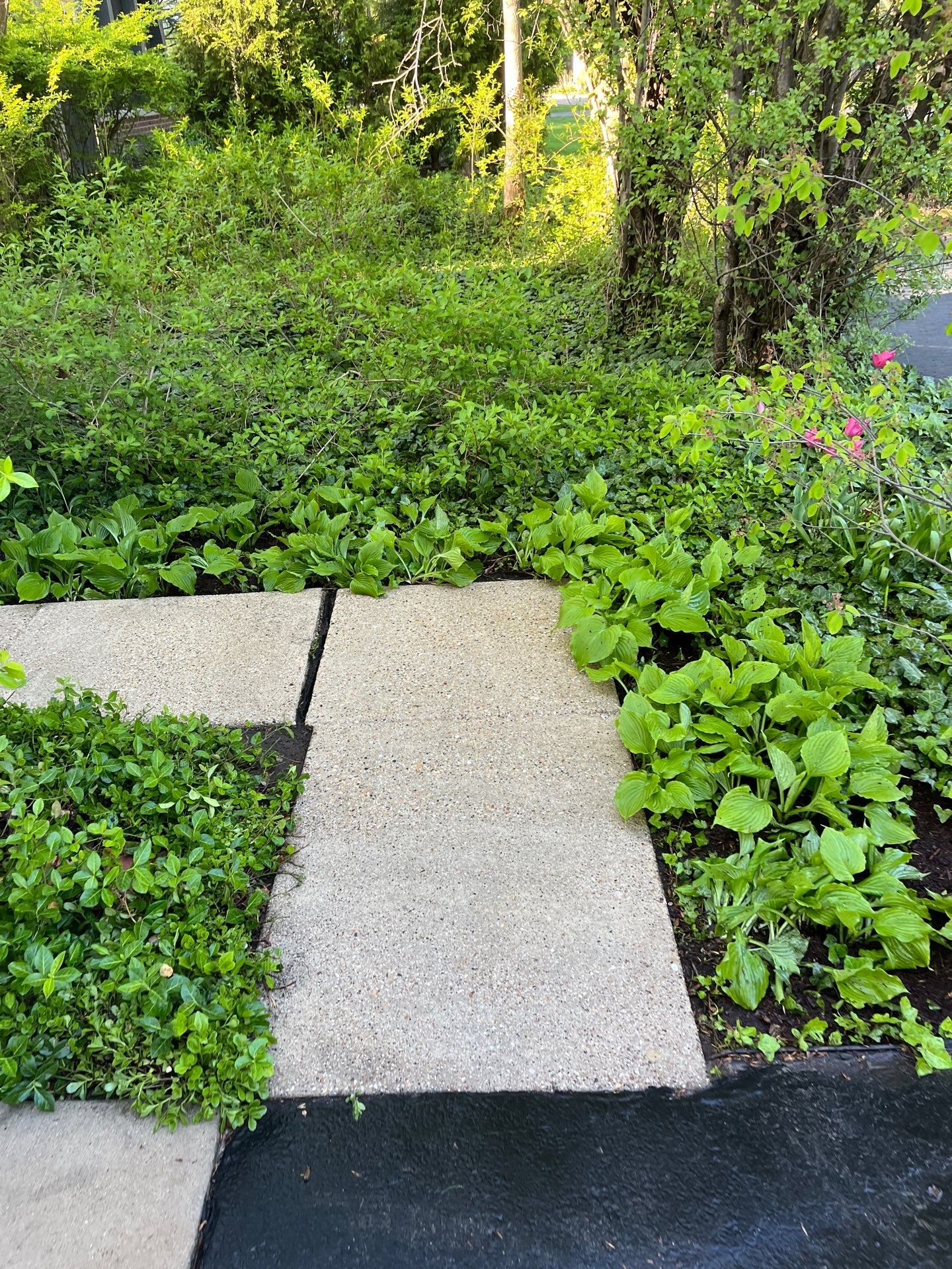 natural stone using Algaecide, soft wash soap by Northern Power Washing LLC.