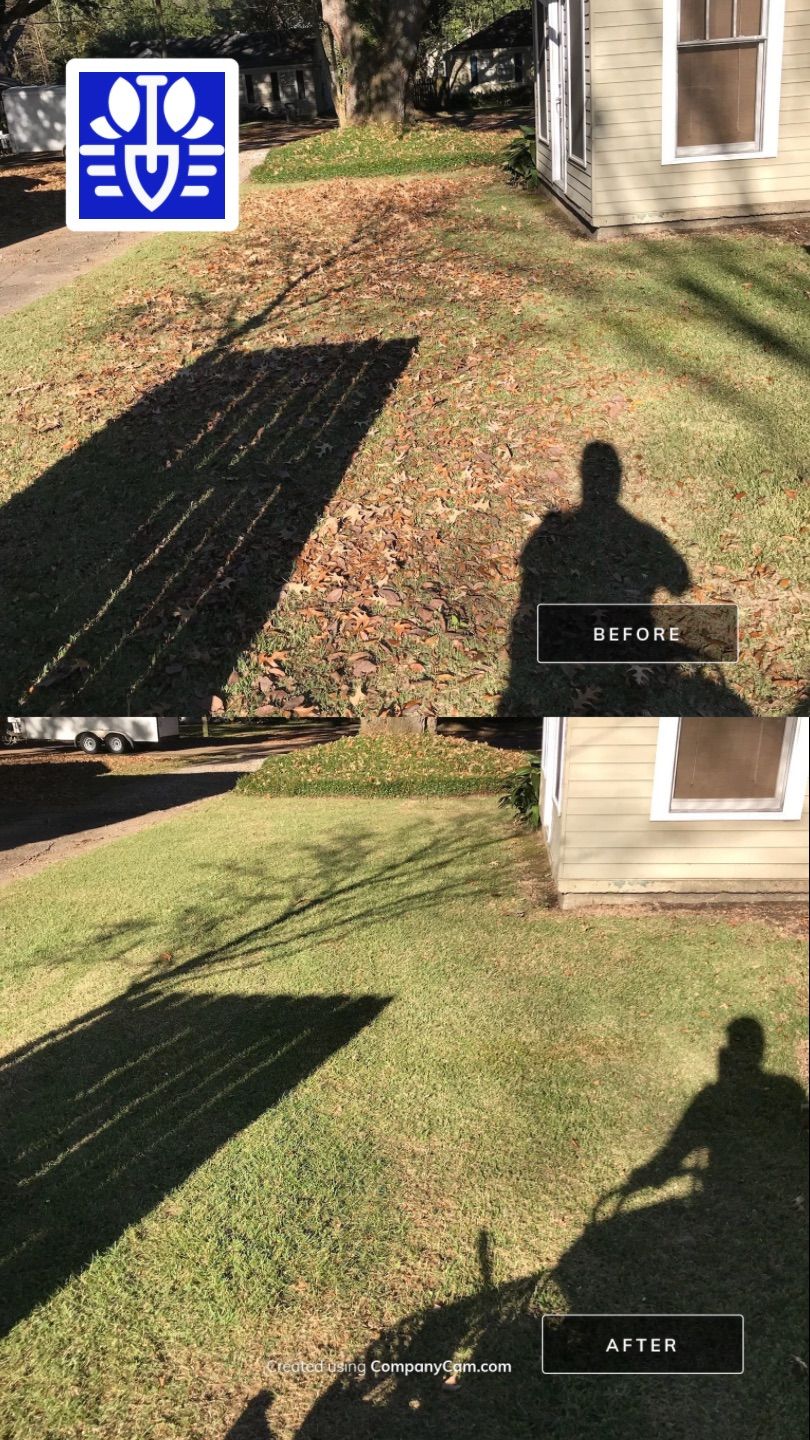 WINTER SERVICES: FULL LEAF JOB by CutScape, LLC.