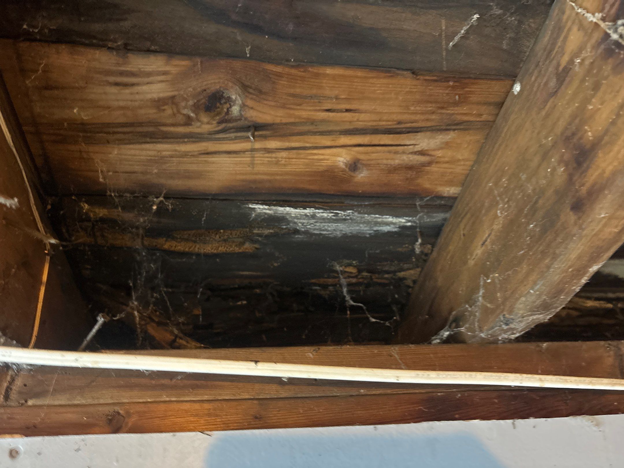 Roof Replacement using Owens Corning by 180 Contractors