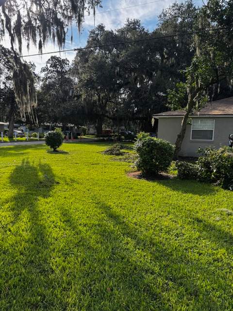 Tree Removal | Episcopal School of Jacksonville by ProGreen Services