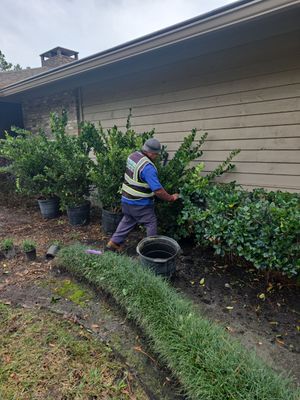 Deerwood Resident | Freshen Up Project