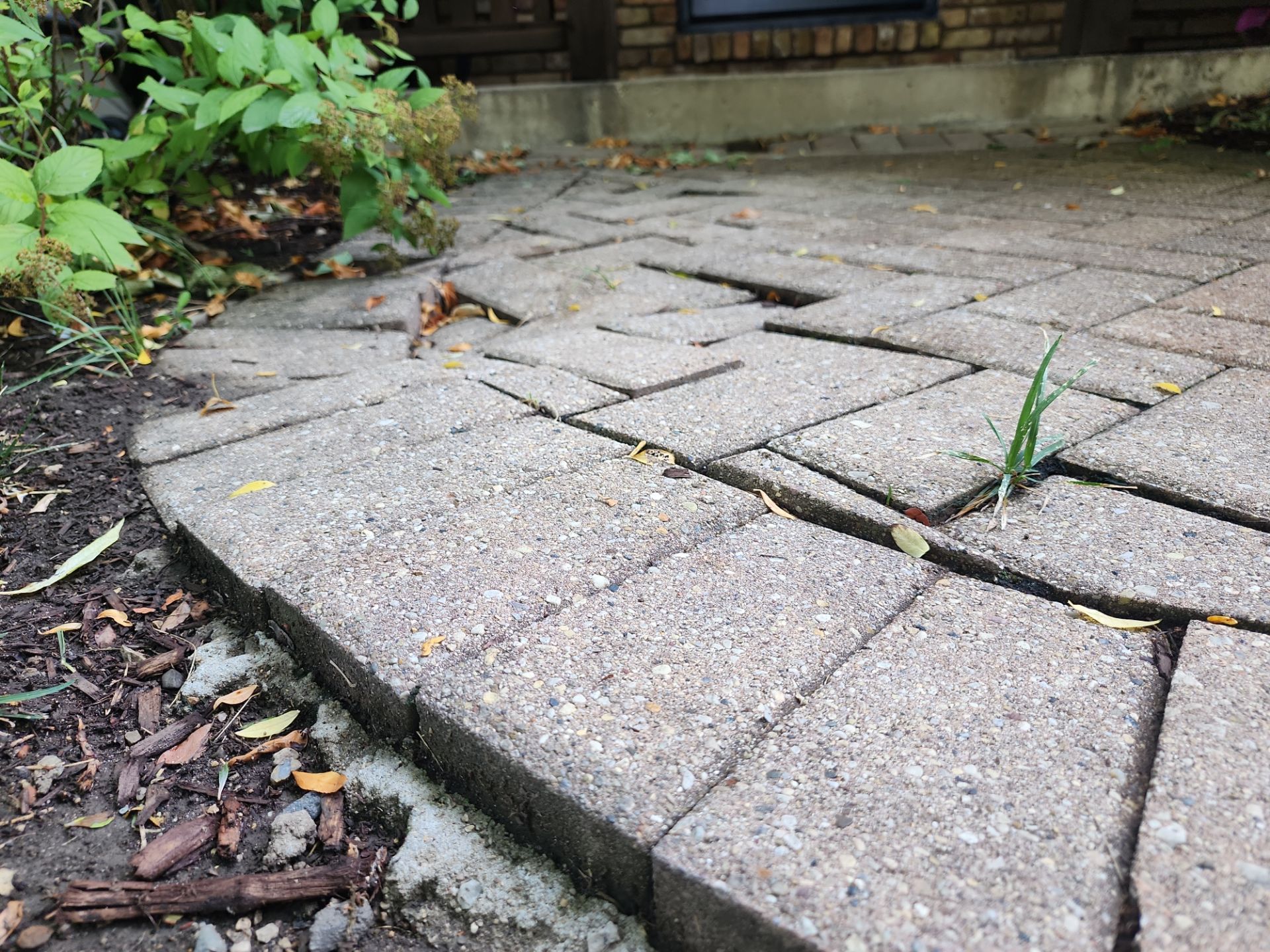 Arlington Heights Brick paver repair, cleaning and sealing by Northern Power Washing LLC.