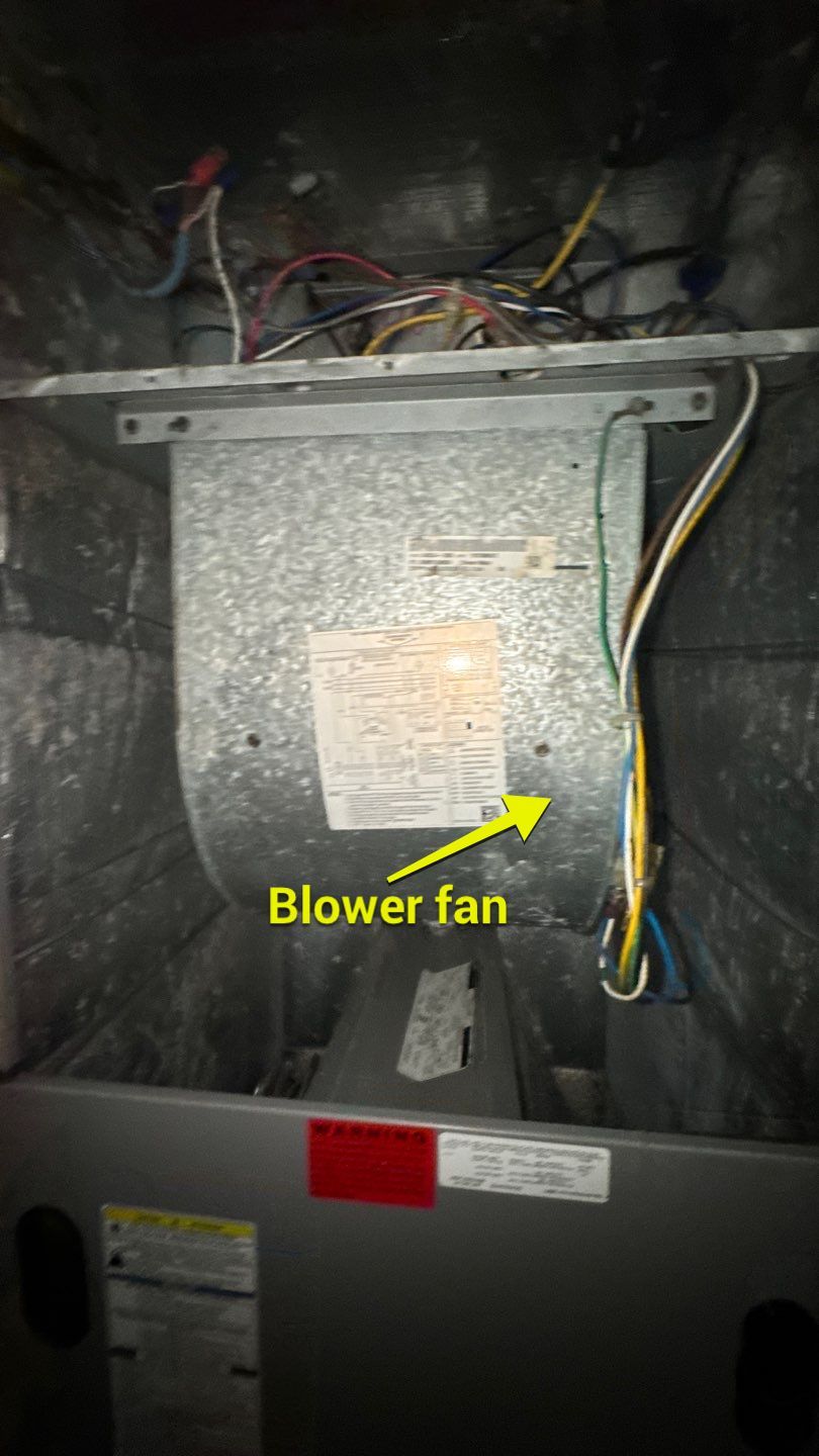 Air Duct and Dryer Vent Cleaning in The Villages by Hygienic Air, Inc