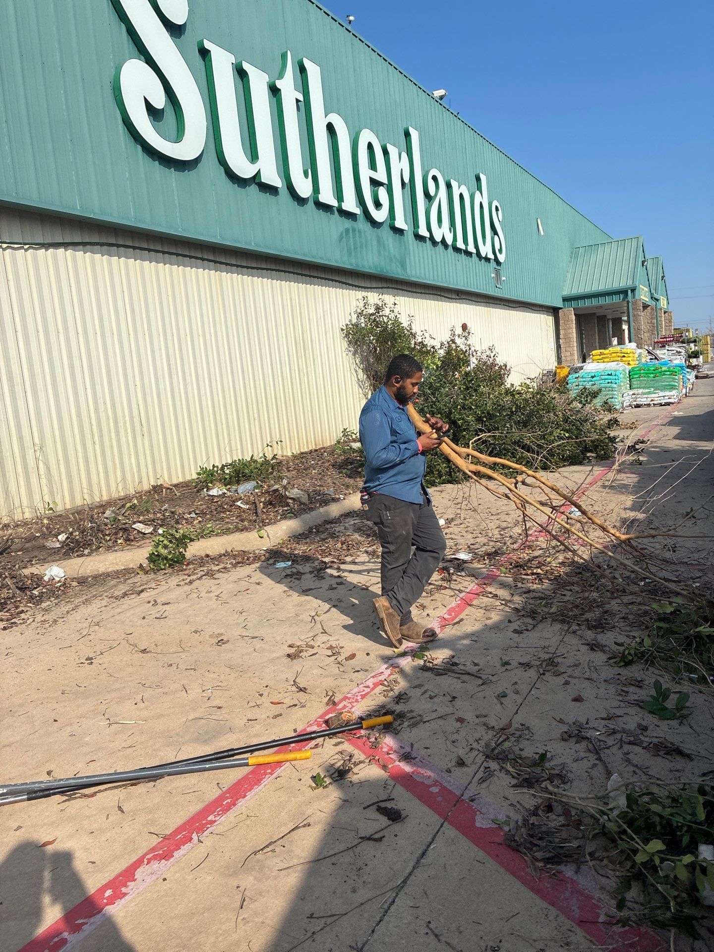 Shrub Removal by Clays Services Inc