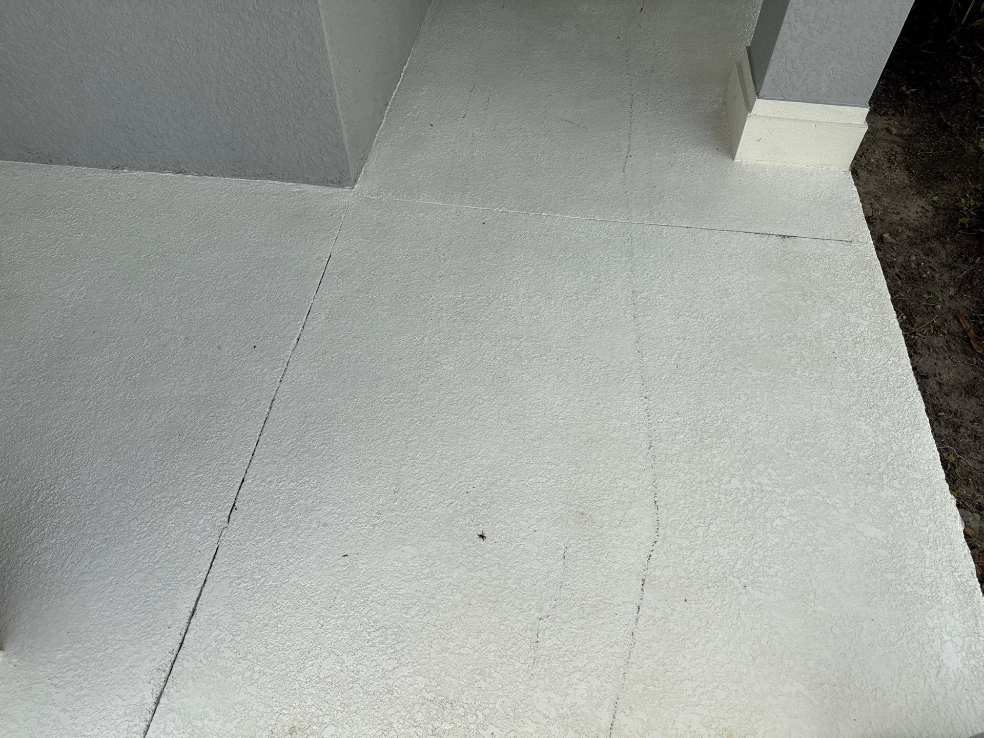 Pre-Sale Exterior Cleaning – Forest Creek Community, Parrish, FL by Sunshine AquaWash