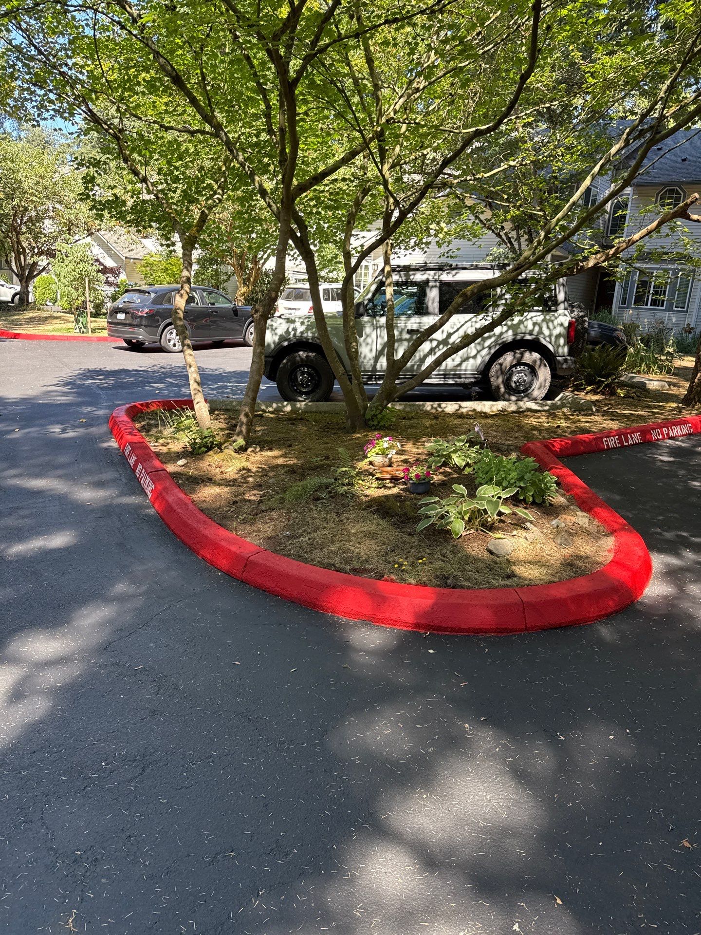 Curb Repaint | Seattle  by Jireh Asphalt & Concrete Inc 