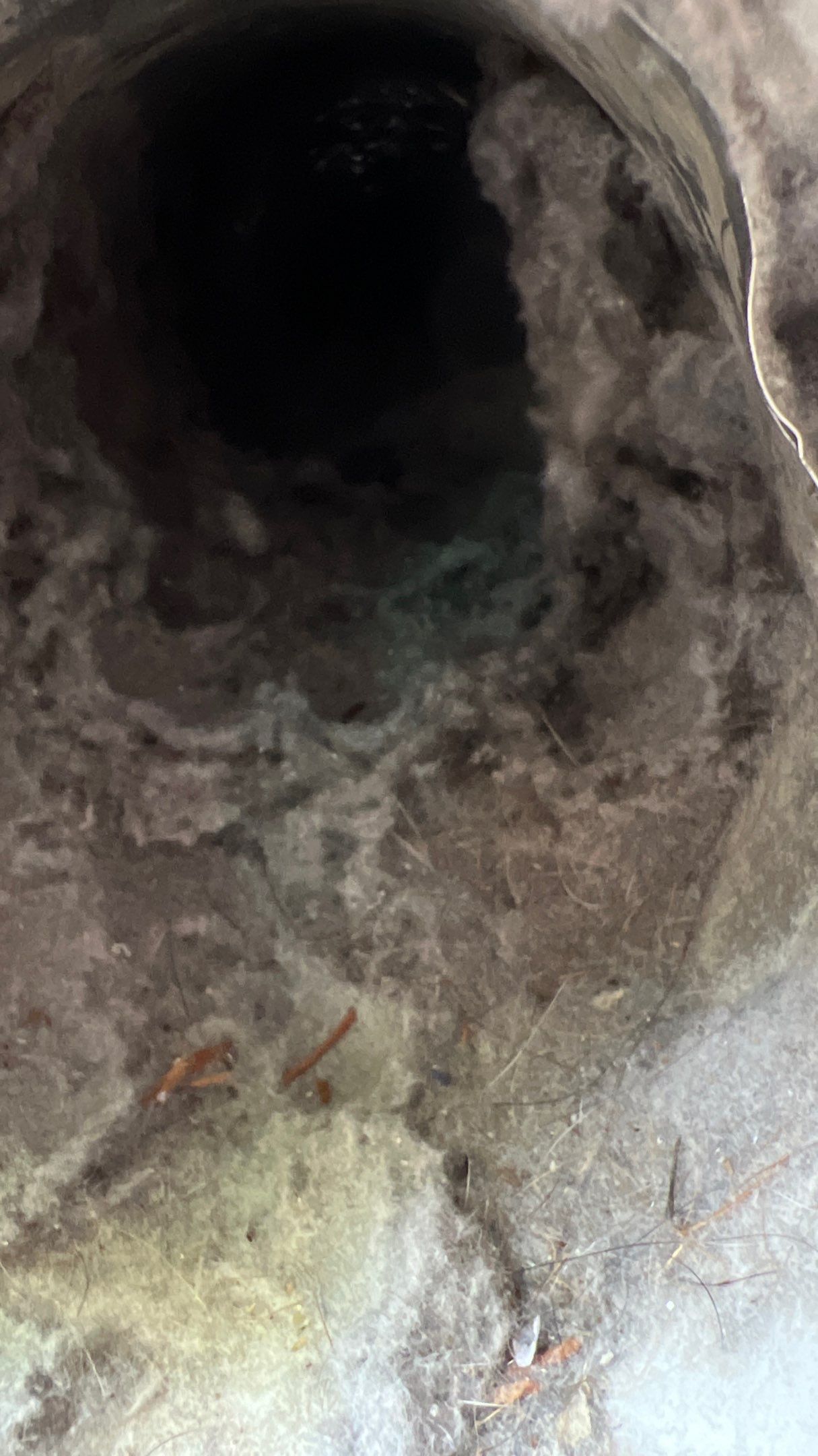 Dryer Vent Cleaning in McKees Rocks, PA by Superior Air Duct Cleaning