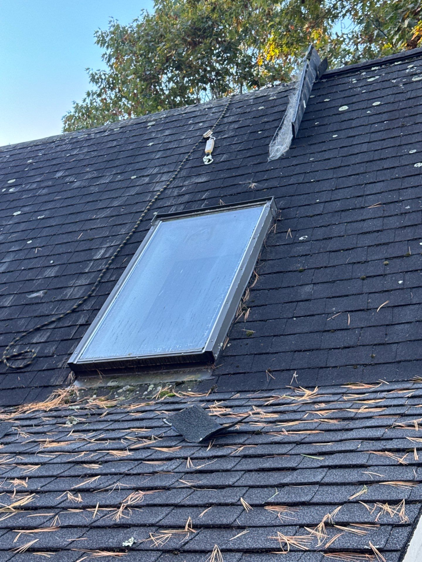 Milford Complete Roof Replacement with Velux Skylight Upgrade by Mighty Dog Roofing of Greater Middlesex County