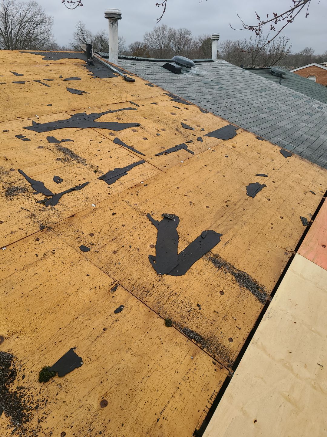 Alexandria Certainteed Landmark Roof in Colonial Slate by RM Banning, Inc.