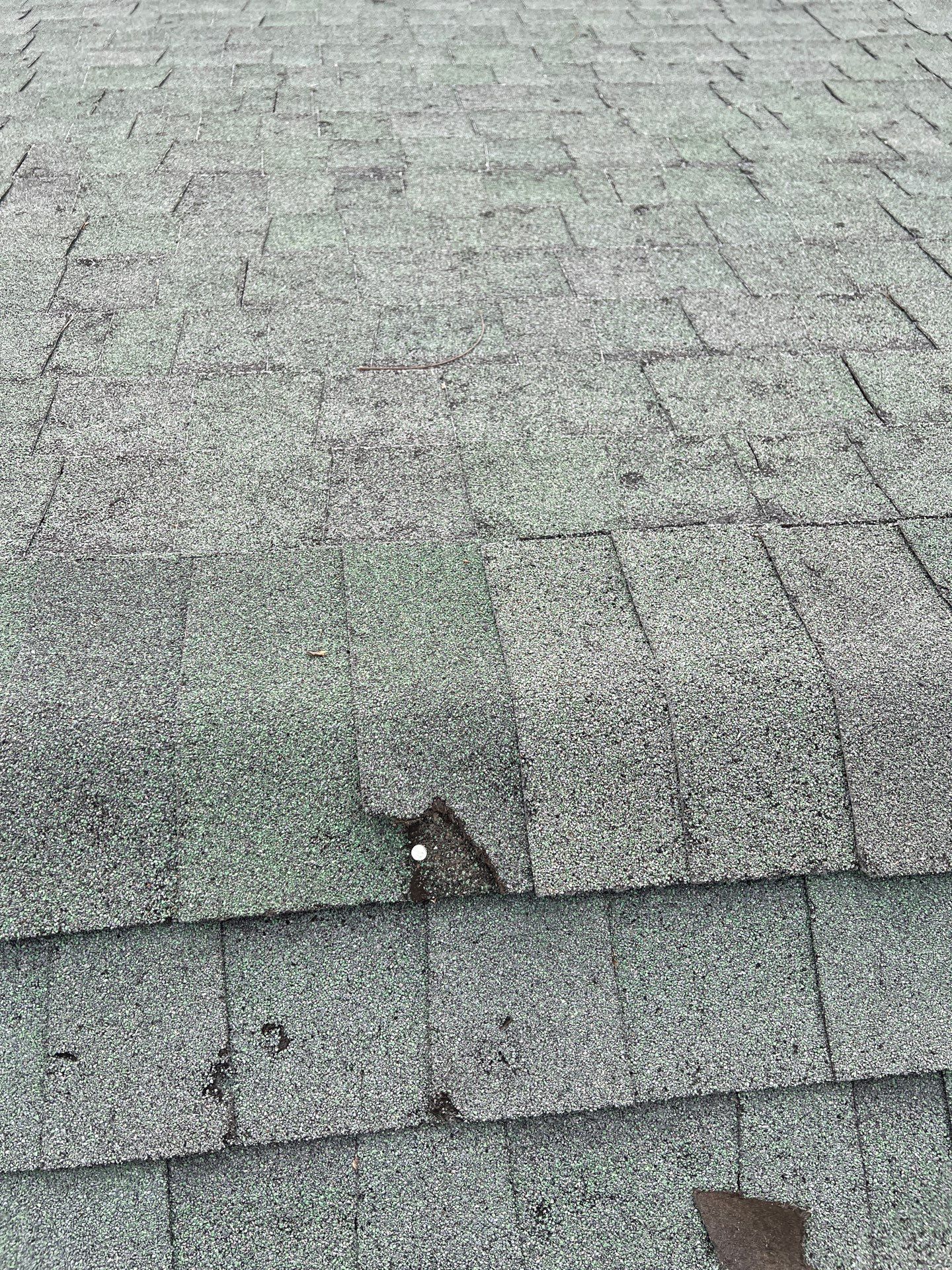 Class 3 Impact Resistant Shingles.  by In & Out Construction & Remodeling, LLC