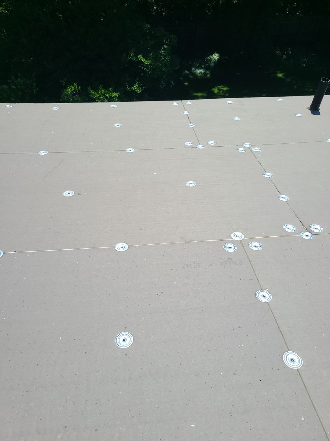 Alexandria: Mule Hide TPO Flat Roof by RM Banning, Inc.