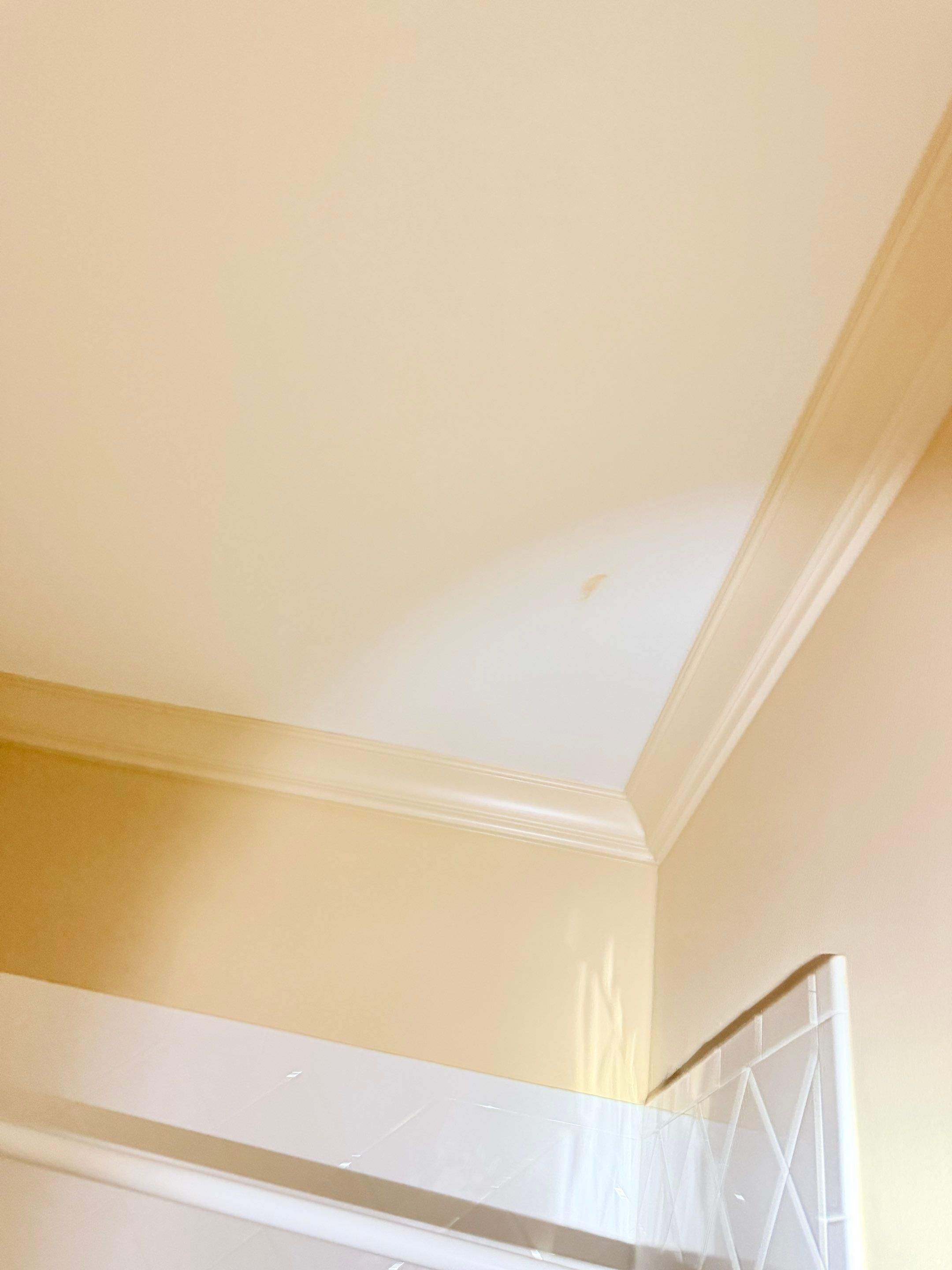 Interior Ceiling Painting & Drywall Repairs by PGP Surface Solutions, LLC