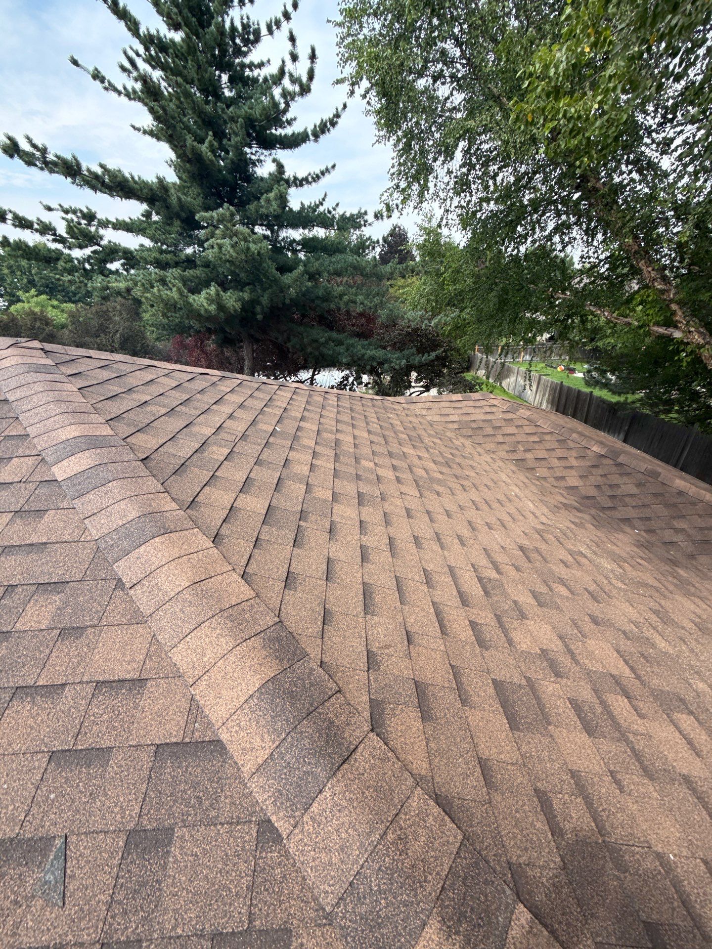 Boise Commercial Roof Replacement with Brown Architectural Shingles by Olive Roofing