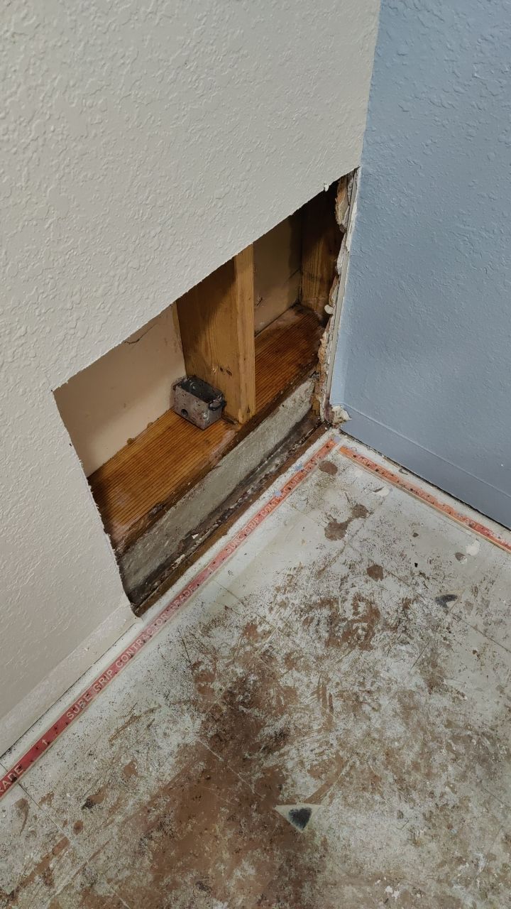 Water Damage and Mold Remediation by Accountable Home Services