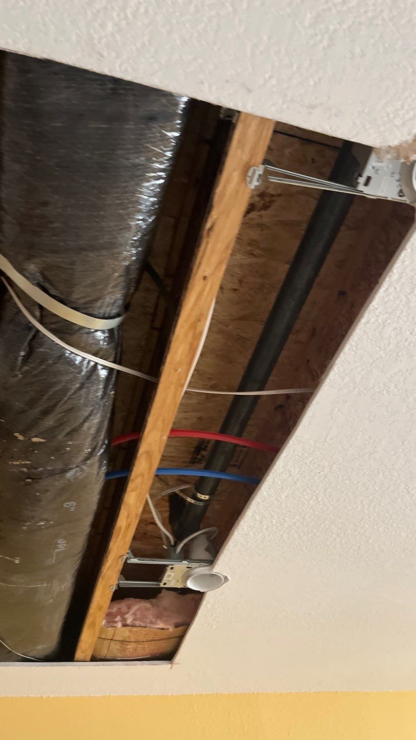 Mold Remediation by Accountable Home Services